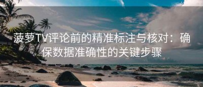 菠萝TV评论前的精准标注与核对：确保数据准确性的关键步骤