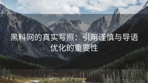 黑料网的真实写照：引用谨慎与导语优化的重要性
