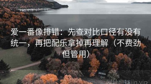 爱一番像排错：先查对比口径有没有统一，再把配乐拿掉再理解（不费劲但管用）