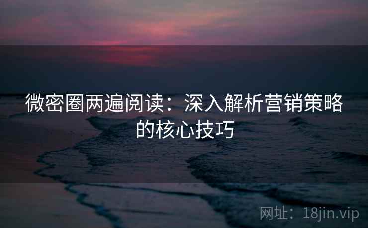微密圈两遍阅读：深入解析营销策略的核心技巧