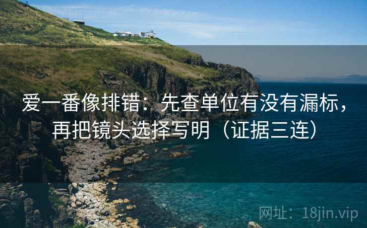 爱一番像排错:先查单位有没有漏标,再把镜头选择写明(证据三连) 爱一番像排错:先查单位有没有漏标,再把镜头选择写明(证据三连)