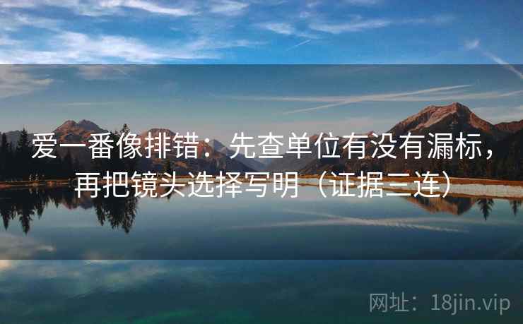 爱一番像排错:先查单位有没有漏标,再把镜头选择写明(证据三连) 爱一番像排错:先查单位有没有漏标,再把镜头选择写明(证据三连)